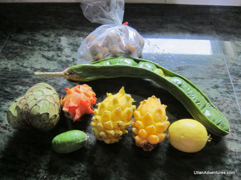 Dragon fruit, cherimoya, ice cream bean, longan and more